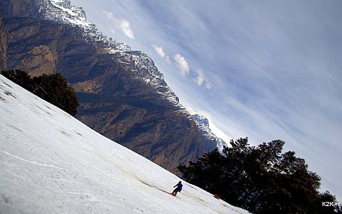 Auli
