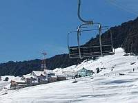 Auli