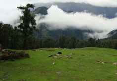 Bedni Bugyal