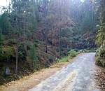 Dhanaulti