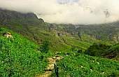 Trekking in Uttarakhand