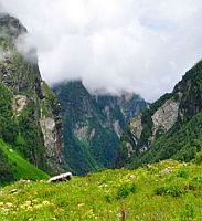 Valley of Flowers